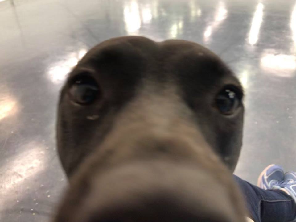Video1