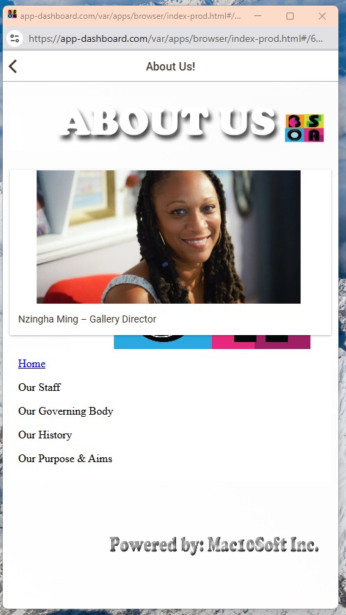 BSOA (Bermuda Society Of Arts) Screenshot 3