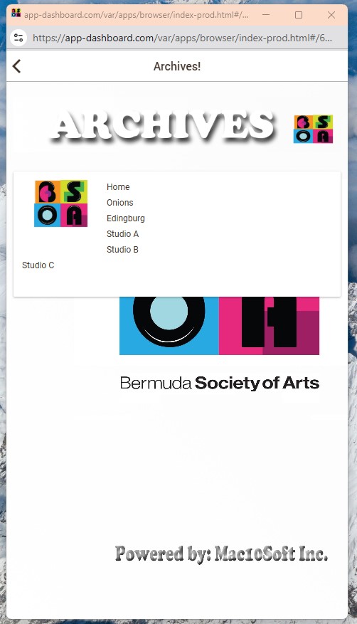 BSOA (Bermuda Society Of Arts) Screenshot 4