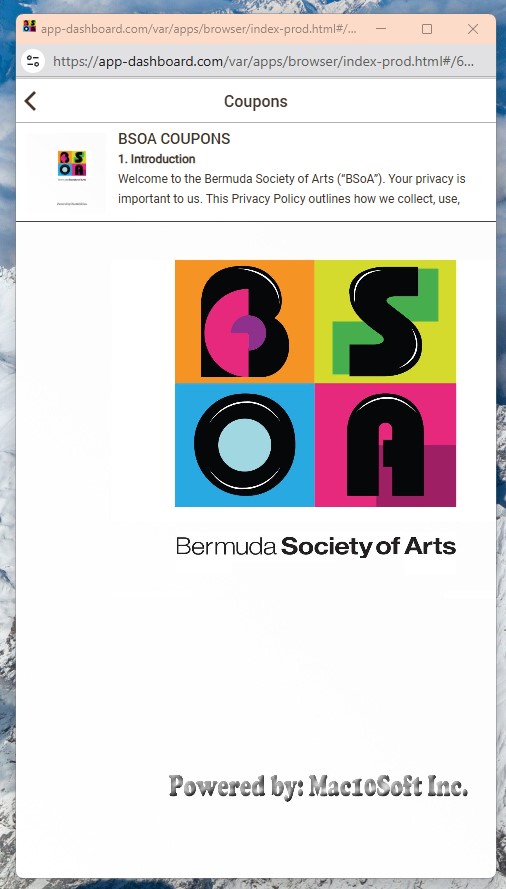 BSOA (Bermuda Society Of Arts) Screenshot 5