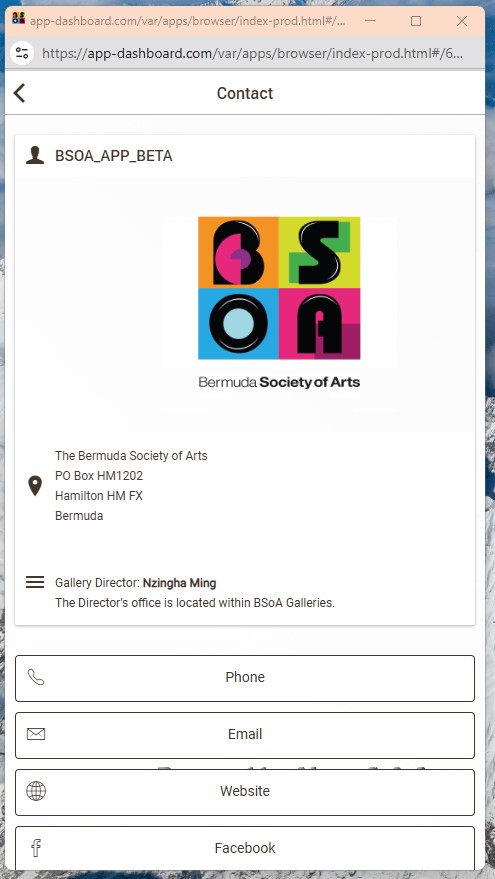 BSOA (Bermuda Society Of Arts) Screenshot 6